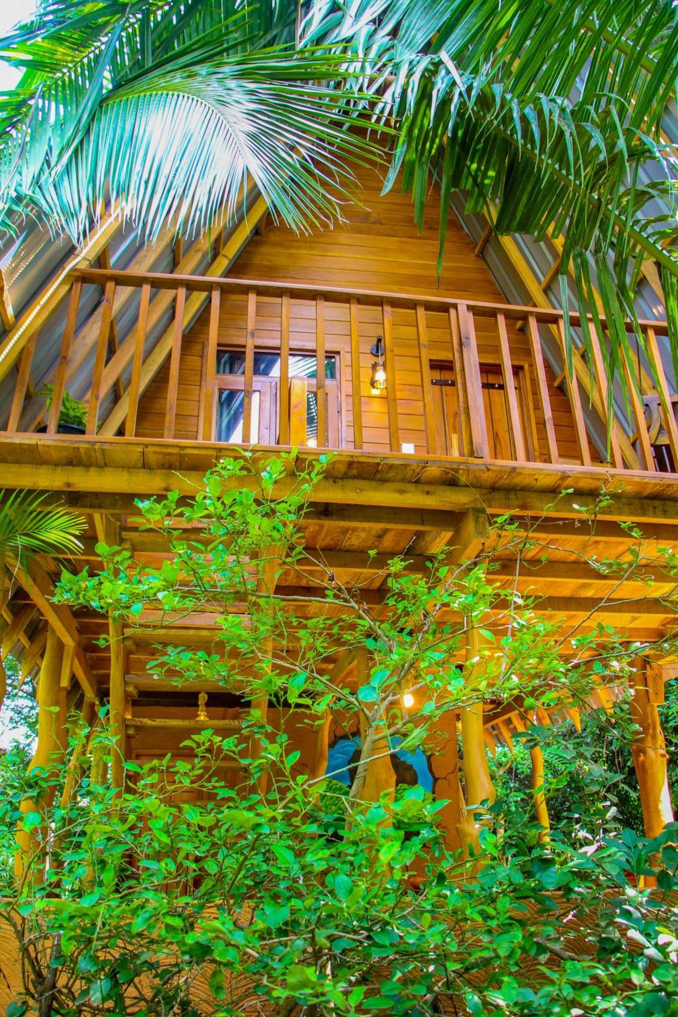 Eco Tree House Sigiriya