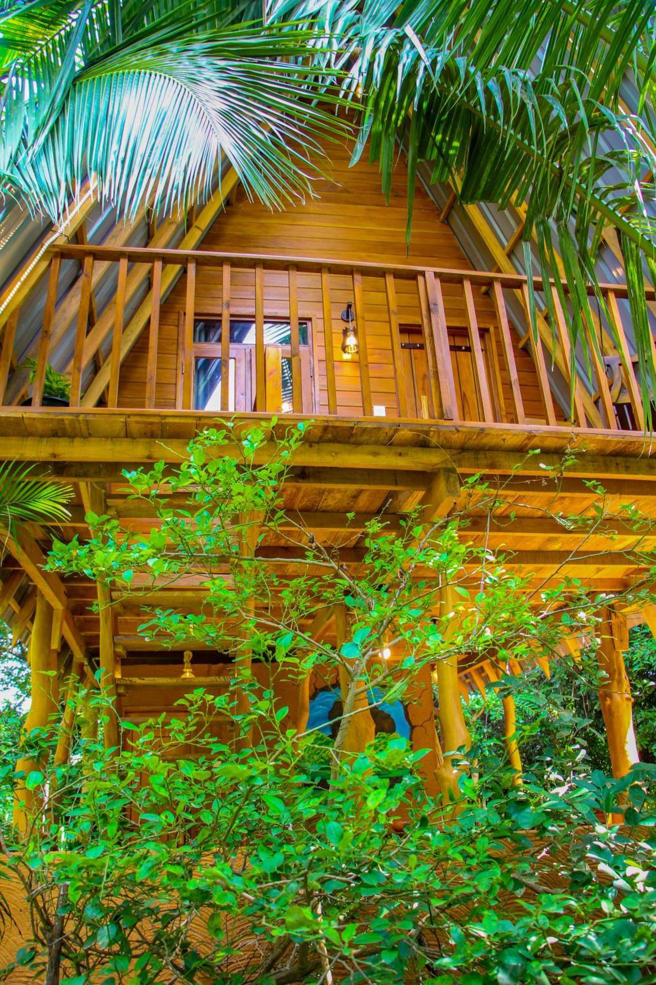 Villa Eco Tree House *