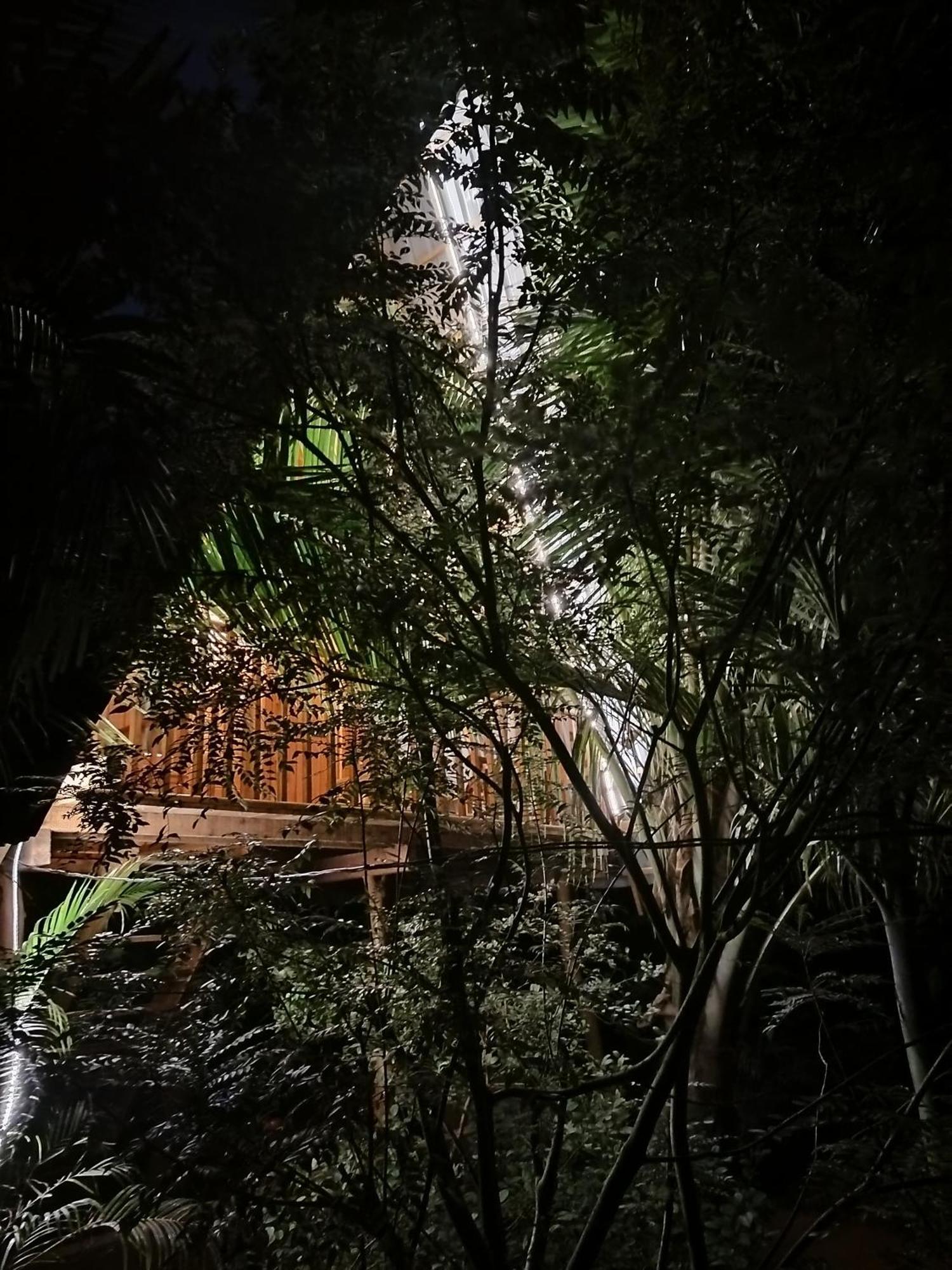 Villa Eco Tree House