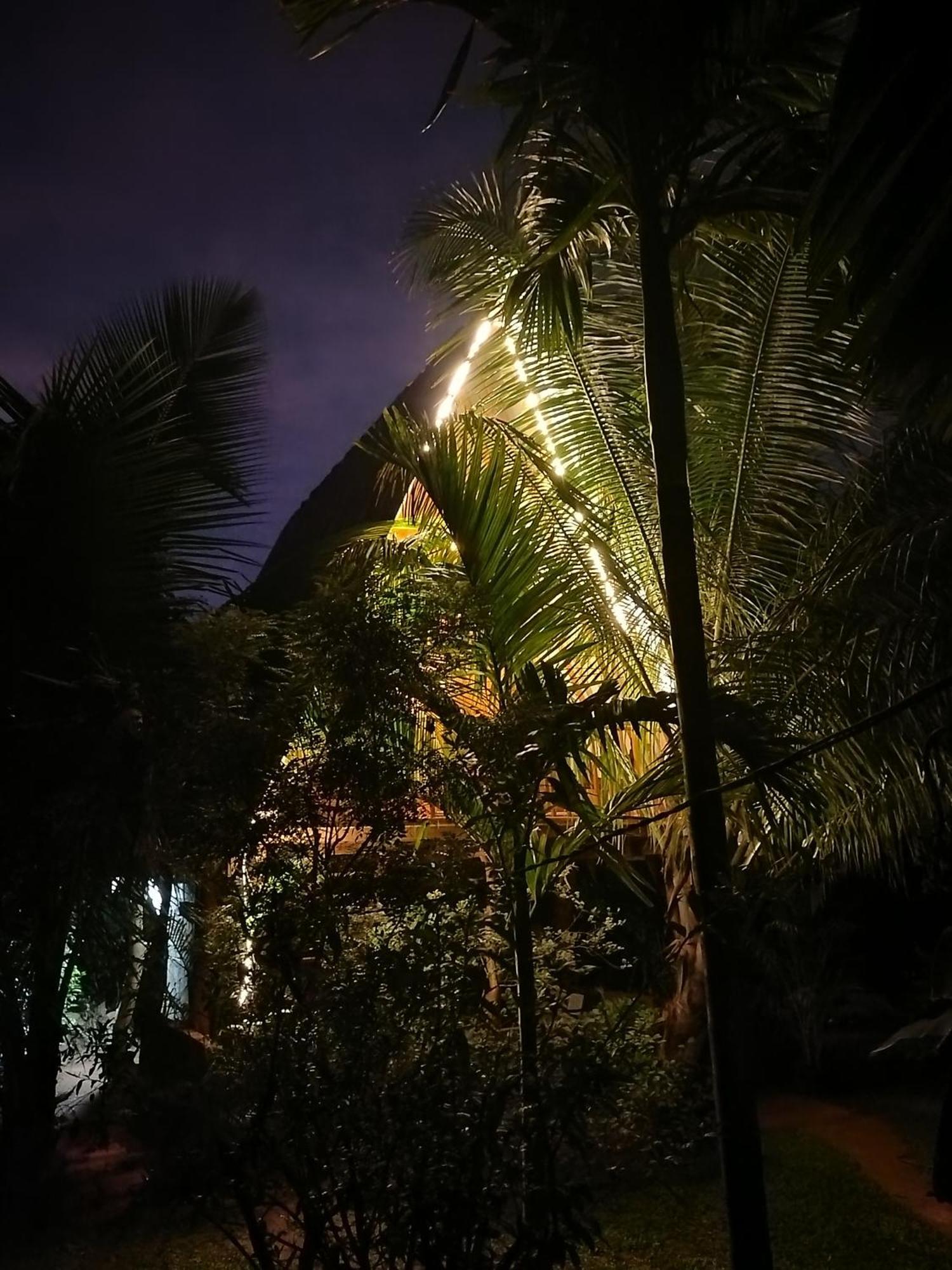 Eco Tree House Sigiriya
