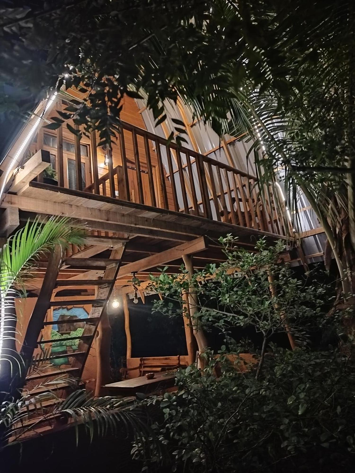 Eco Tree House