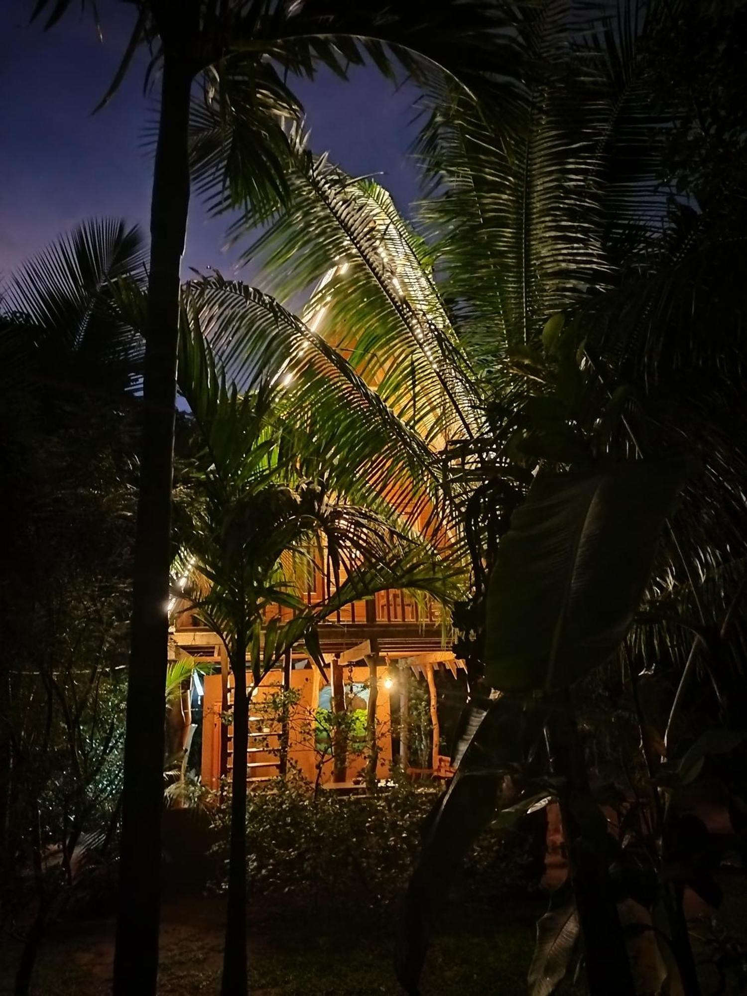 Villa Eco Tree House *