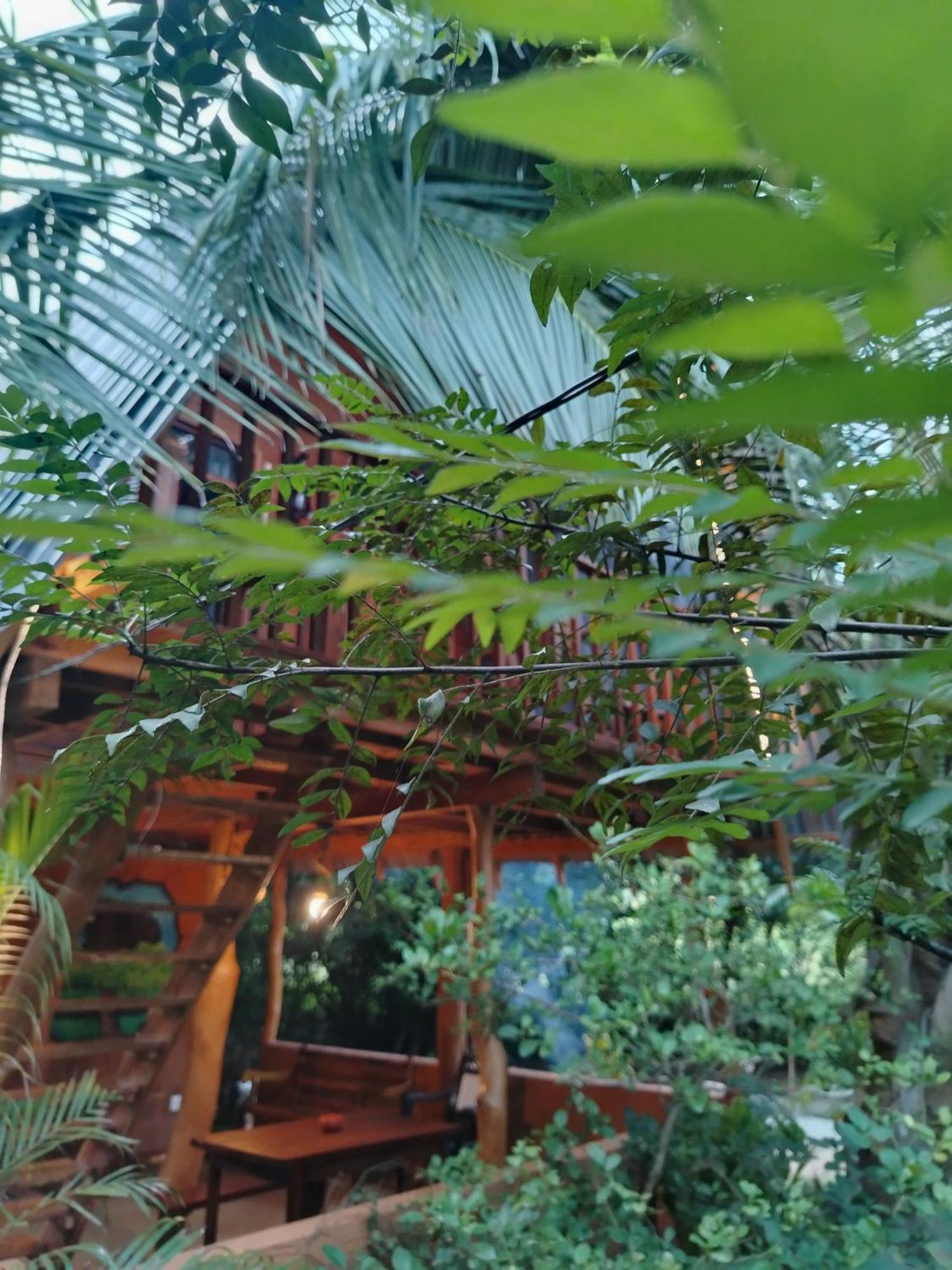 Eco Tree House *