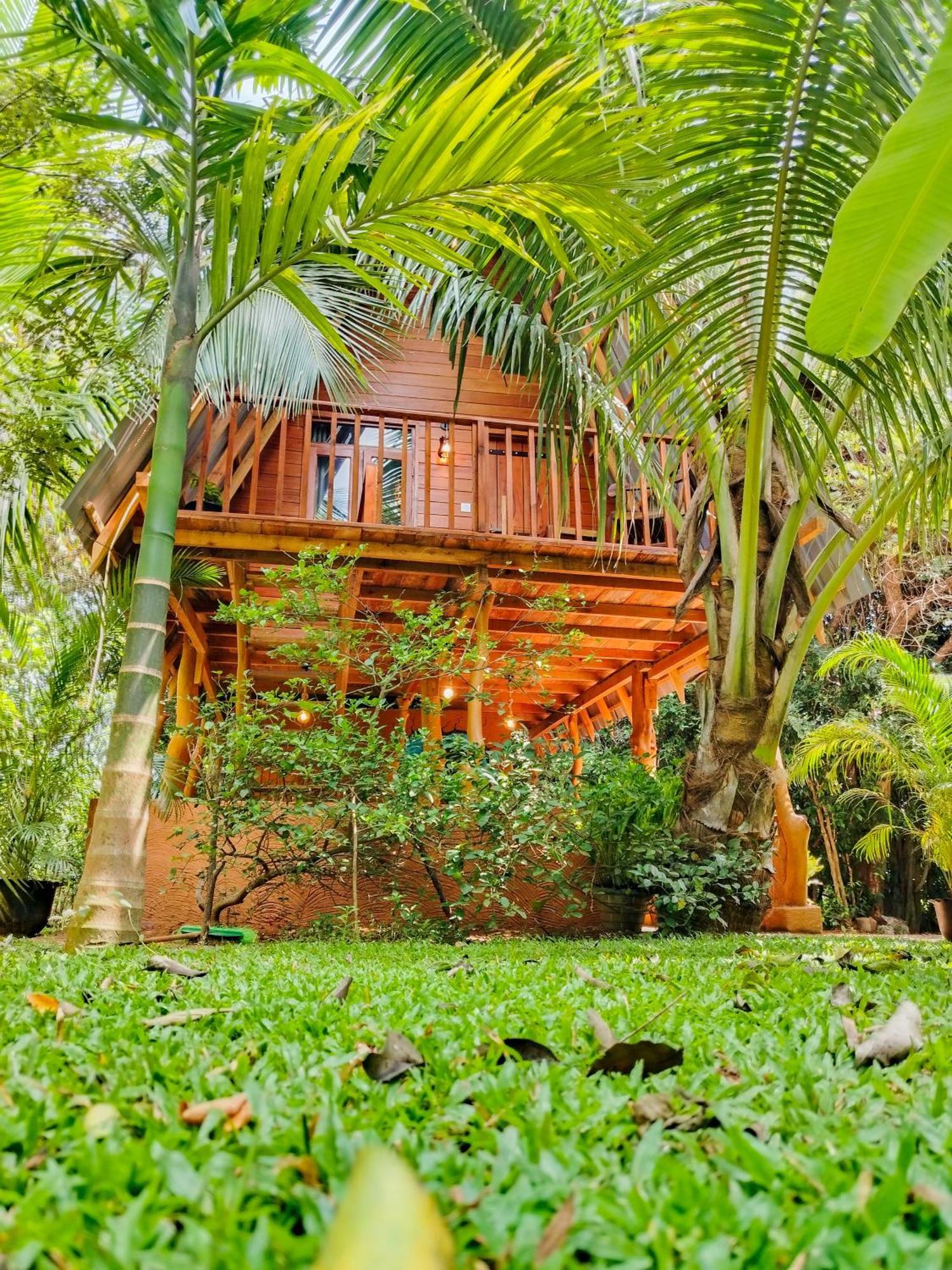 Eco Tree House Sigiriya