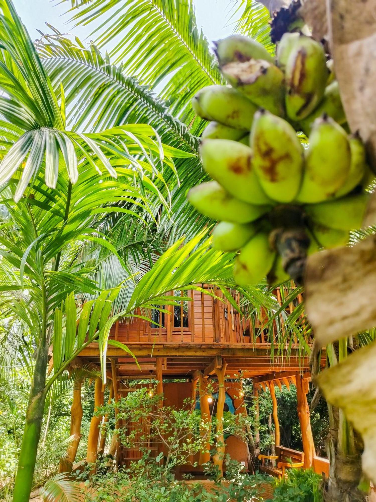 Villa Eco Tree House