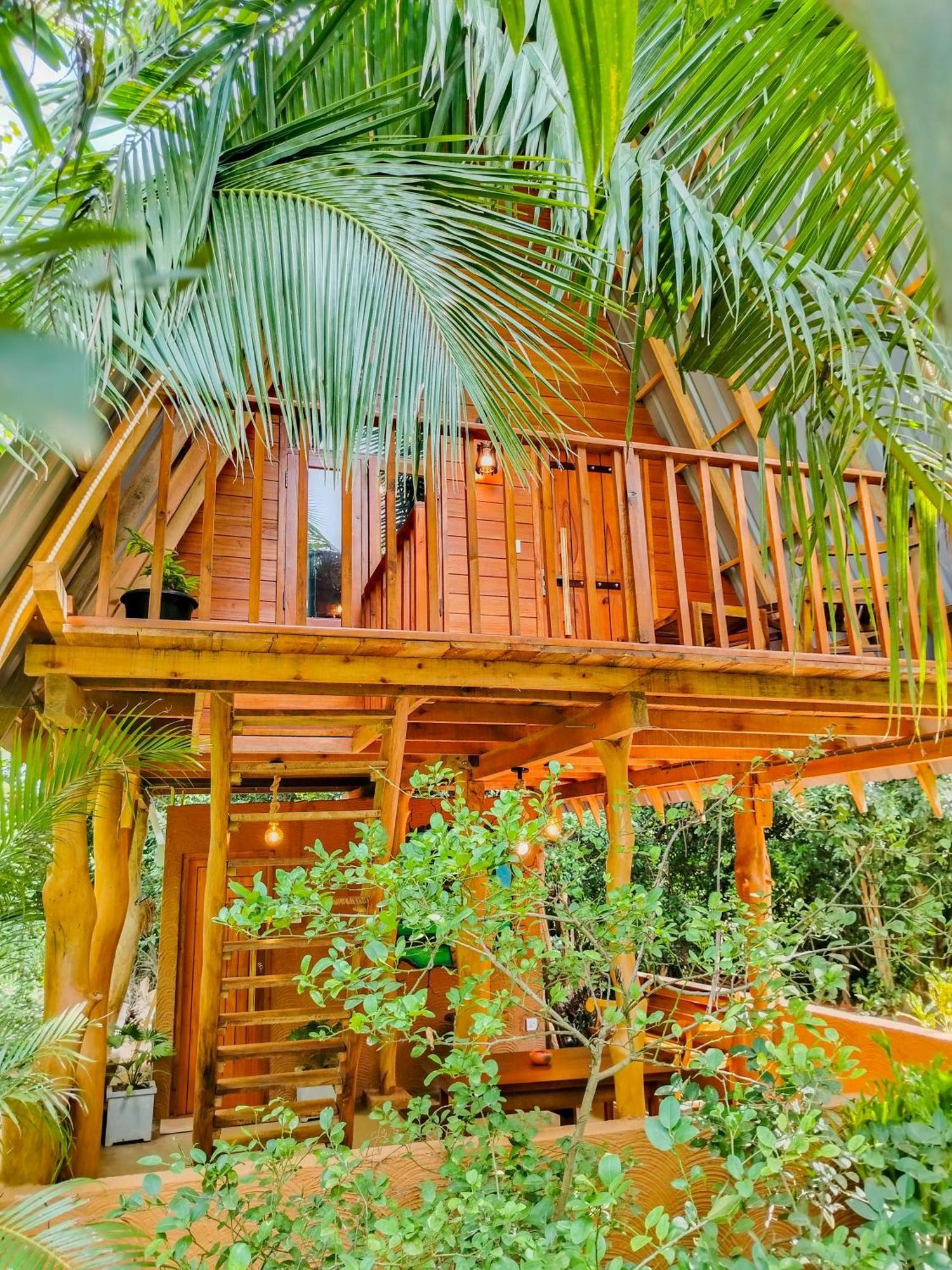 Eco Tree House *