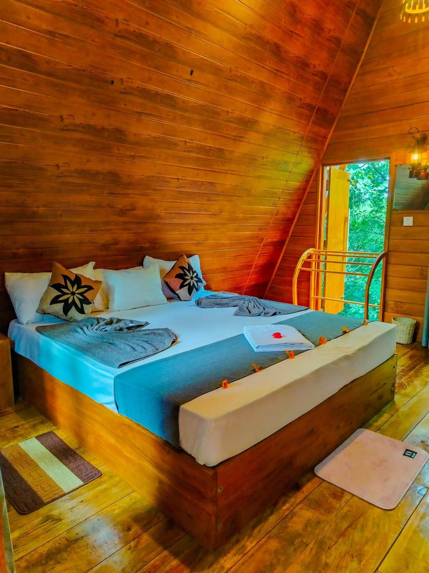 Eco Tree House