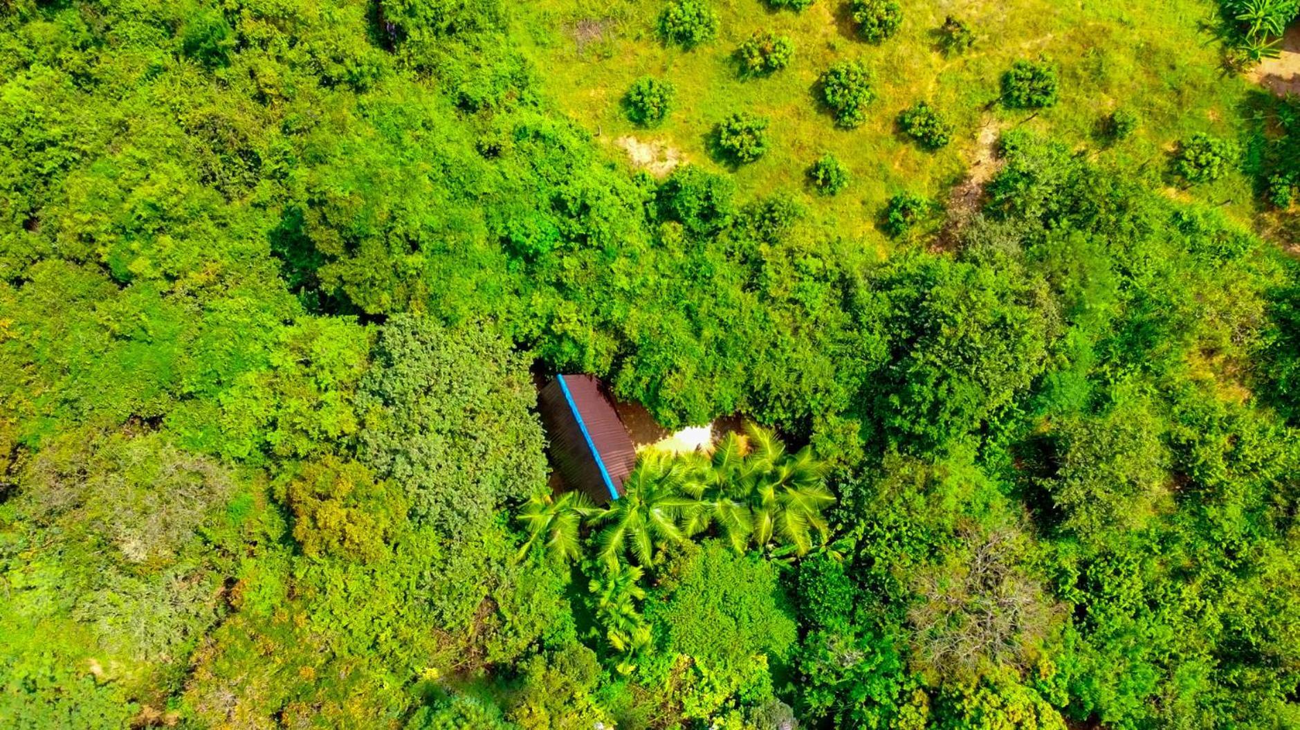 Eco Tree House