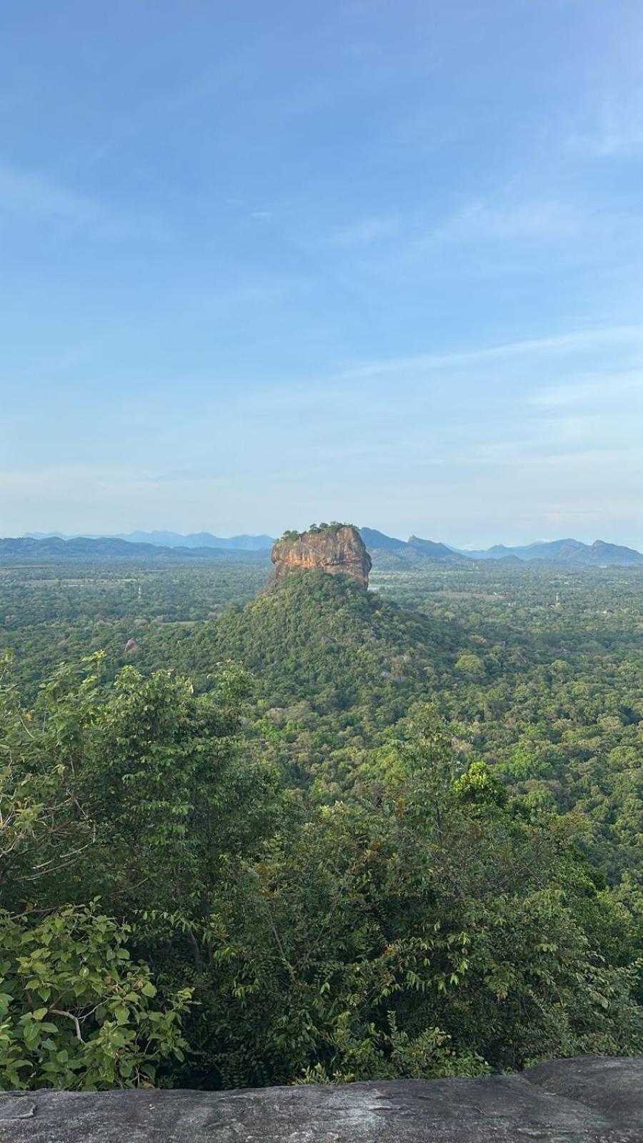 Eco Tree House Sigiriya