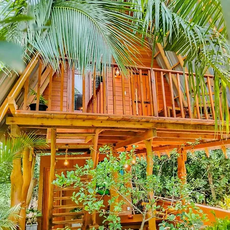 Sigiriya Eco Tree House Villa Exterior photo