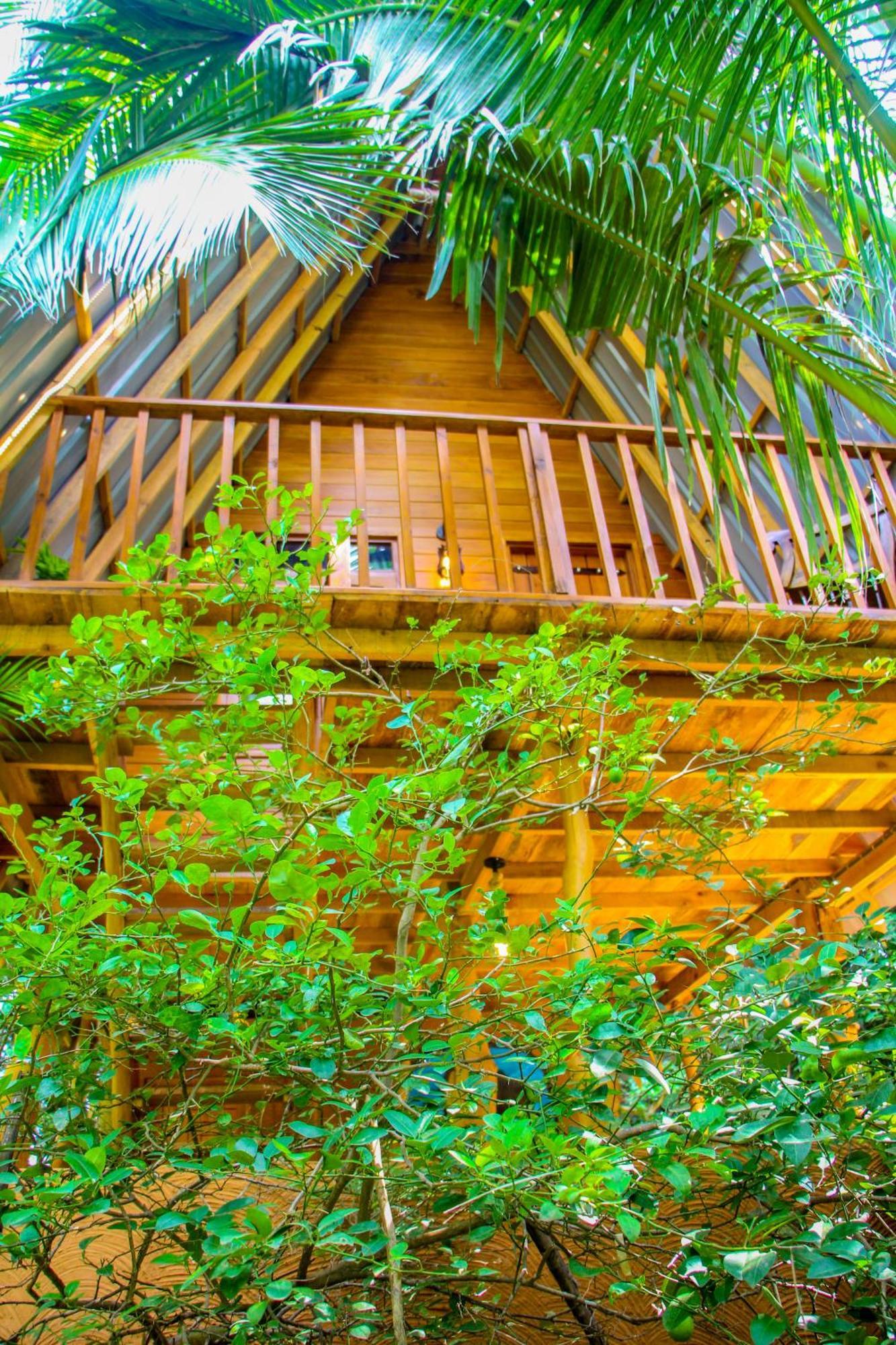 Eco Tree House * Sigiriya
