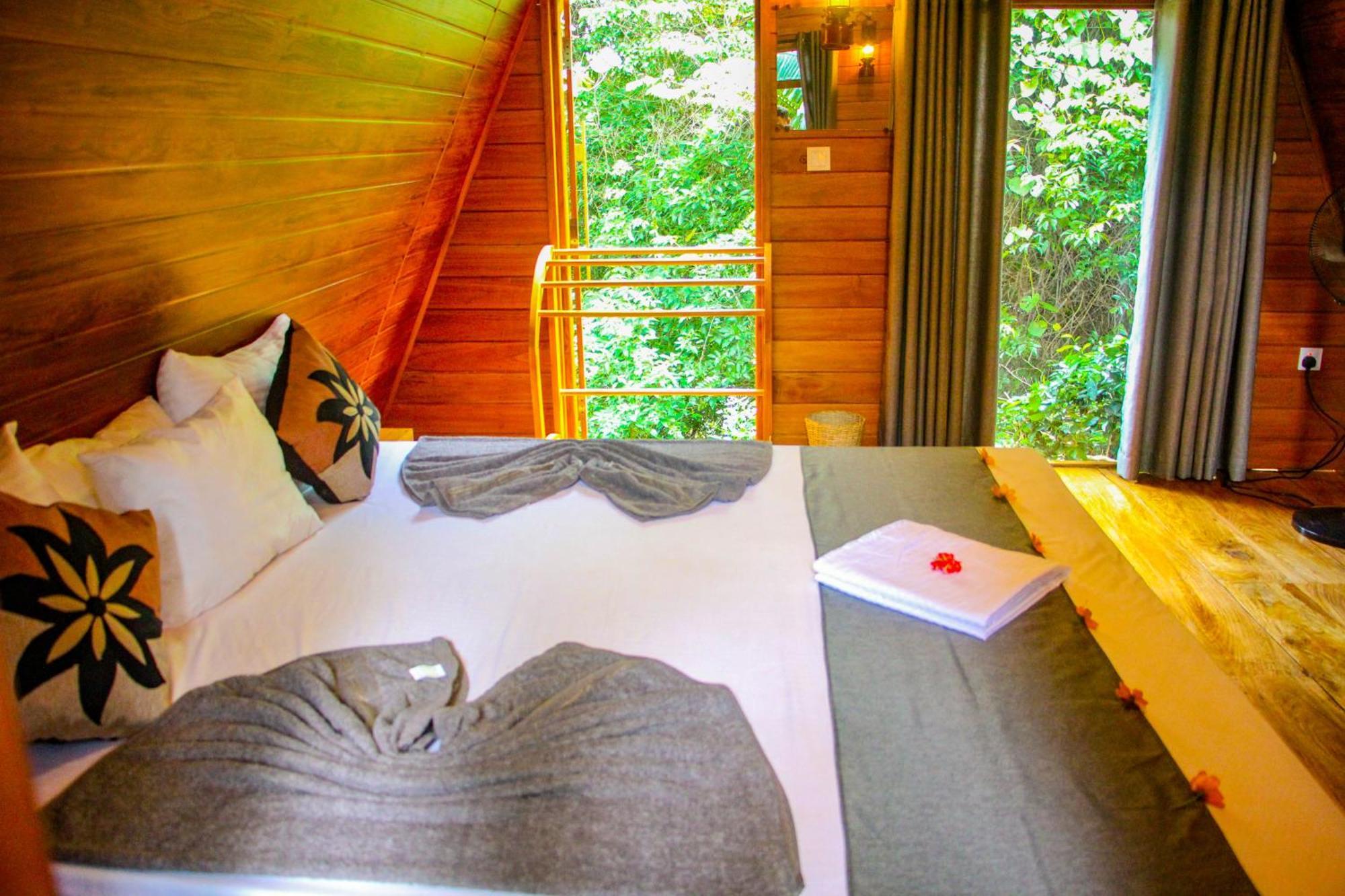 Eco Tree House