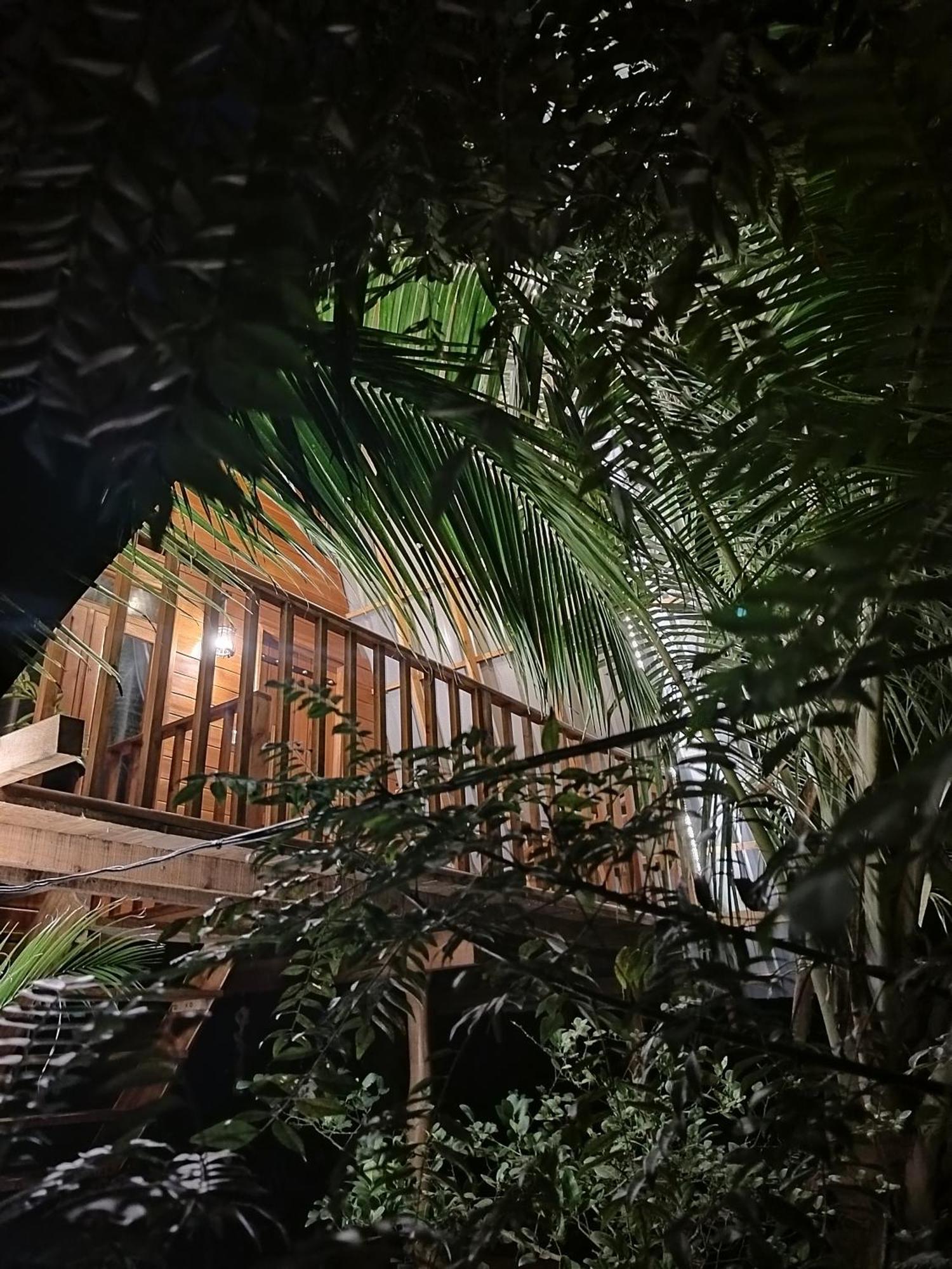 Eco Tree House Sigiriya