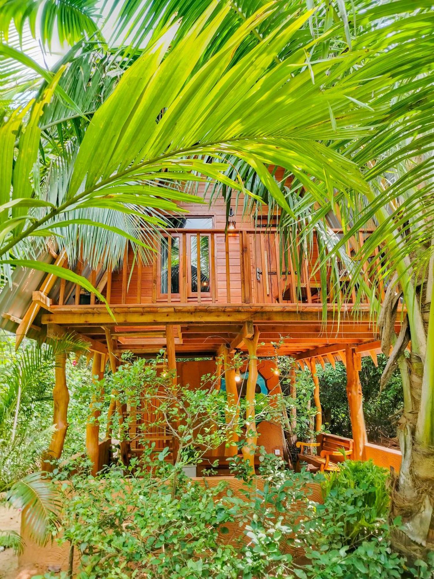 Eco Tree House * Sigiriya