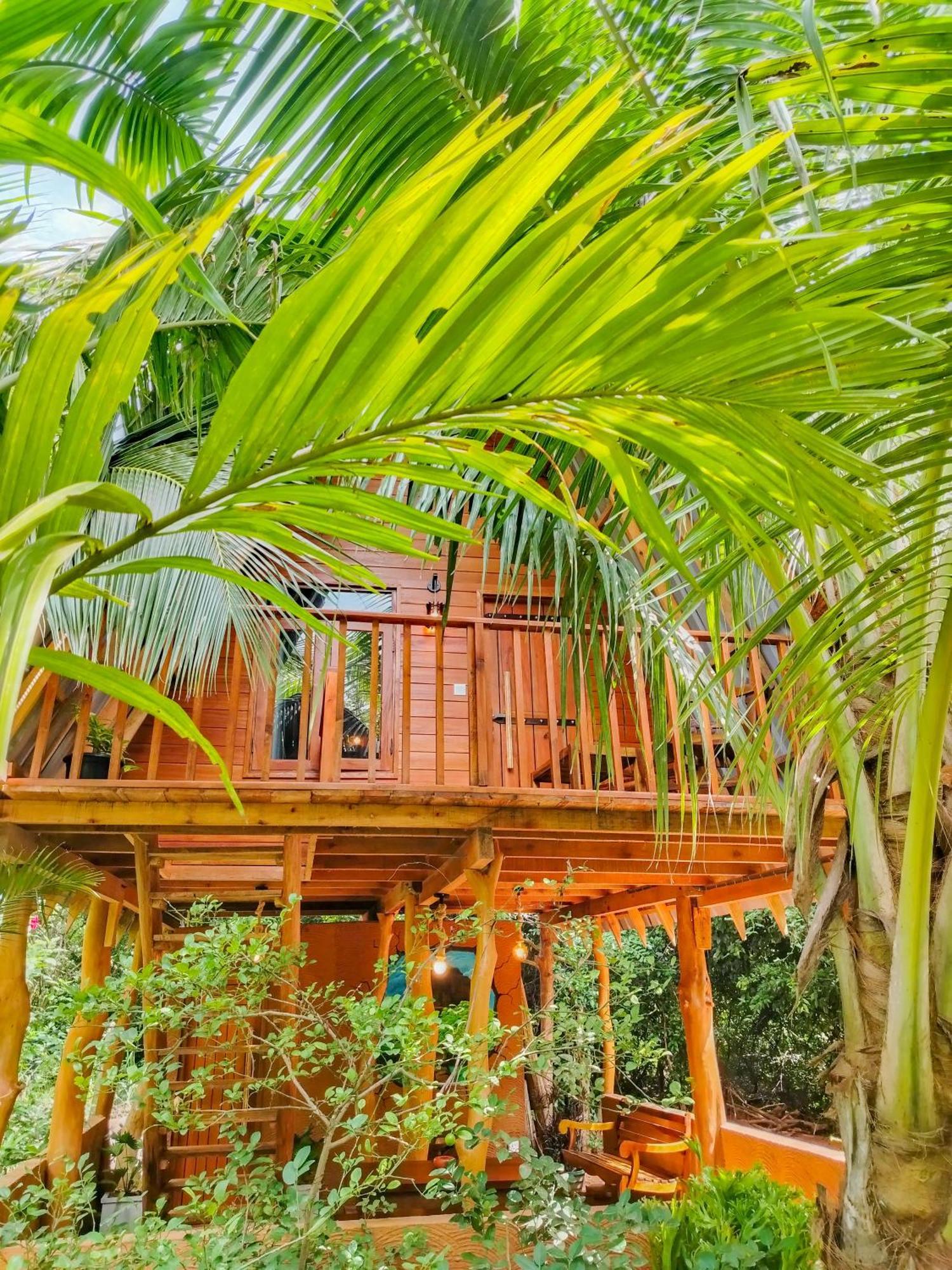 Eco Tree House