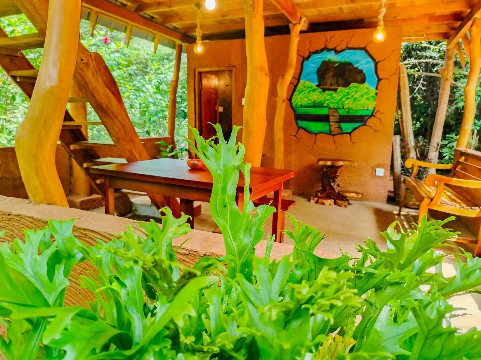 Eco Tree House *