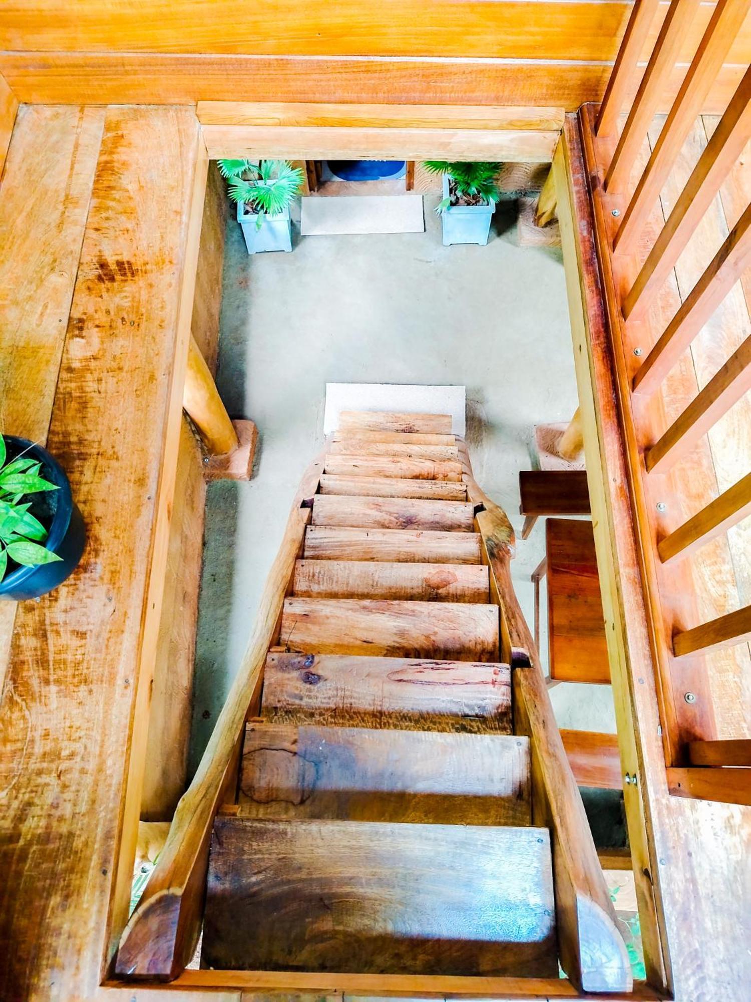 Eco Tree House Sigiriya
